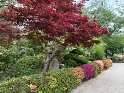律院の{uncategorized: "未分類", other: "その他", undefined: "問題あり", building: "その他建物", grave: "お墓", sacred_gate: "鳥居", guardian: "狛犬", statue: "像", buddha: "仏像", history: "歴史", nature: "自然", garden: "庭園", animal: "動物", pagoda: "塔", temizu: "手水舎", mountain_gate: "山門・神門", sanctuary: "本殿・本堂", subordinate: "末社・摂社", art: "芸術", scenery: "景色", jizo: "地蔵", ema: "絵馬", goshuin: "御朱印", omikuji: "おみくじ", items: "授与品その他", amulet: "お守り", goshuincho: "御朱印帳", eats: "食事", festival: "お祭り", votive_dance: "神楽", shichigosan: "七五三参", wedding: "結婚式", experience: "体験その他", initially: "初詣", around: "周辺", anti_infection: "感染症対策"}