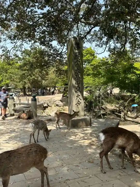 東大寺(奈良県)