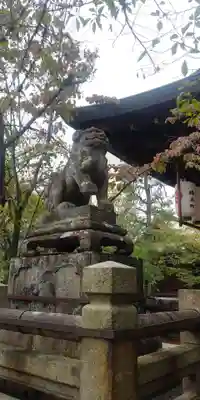 天孫神社の狛犬