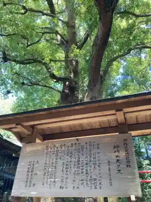 神崎神社(千葉県)