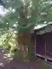 蛭子神社の自然