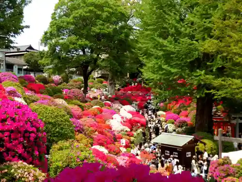 根津神社の庭園