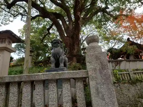 金刀比羅宮(香川県)