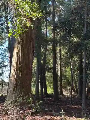 山田神社(滋賀県)
