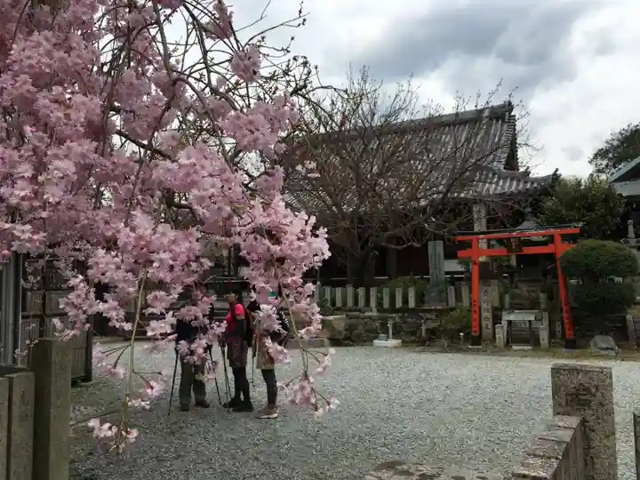 櫻本坊の本殿・本堂