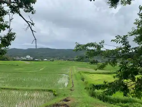 大徳寺の景色