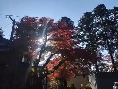 金剱宮(石川県)