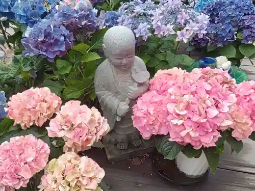 南法華寺（壷阪寺）(奈良県)