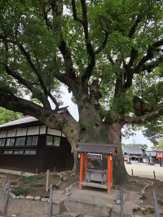 佐嘉神社・松原神社(佐賀県)