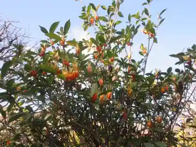 観藏院(東京都)