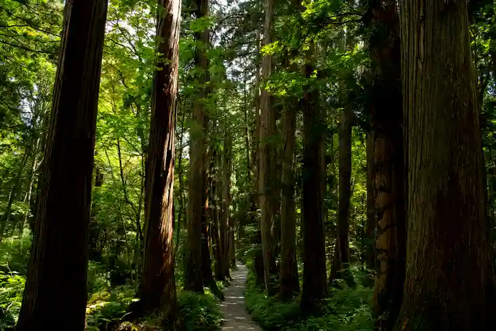 戸隠神社奥社の周辺