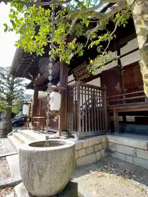 天性寺の本殿・本堂