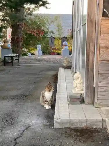 鹿角八坂神社の動物