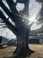 賀茂神社(和歌山県)