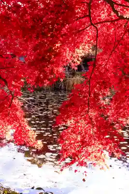 大原野神社(京都府)