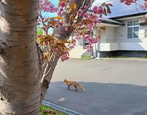 極楽山　浄土寺(北海道)