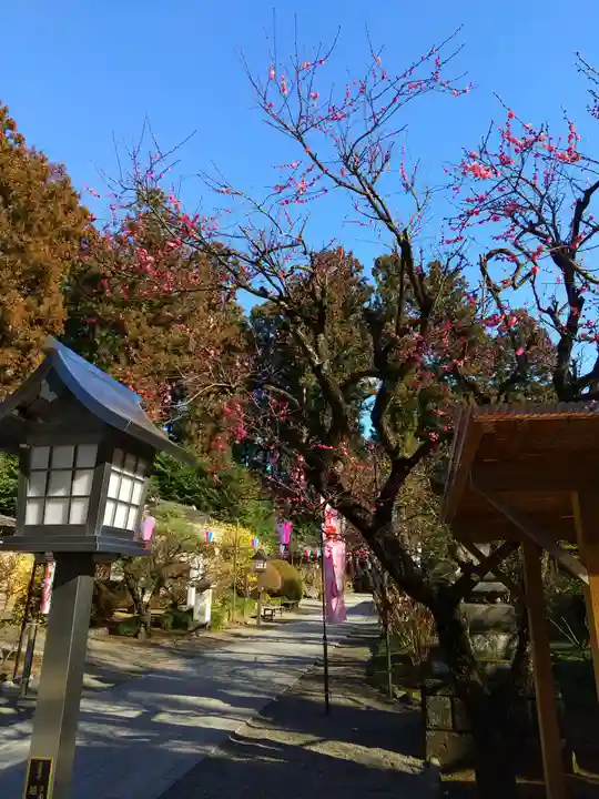 芳賀天満宮のその他建物