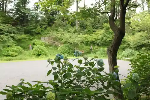 高幡不動尊　金剛寺(東京都)