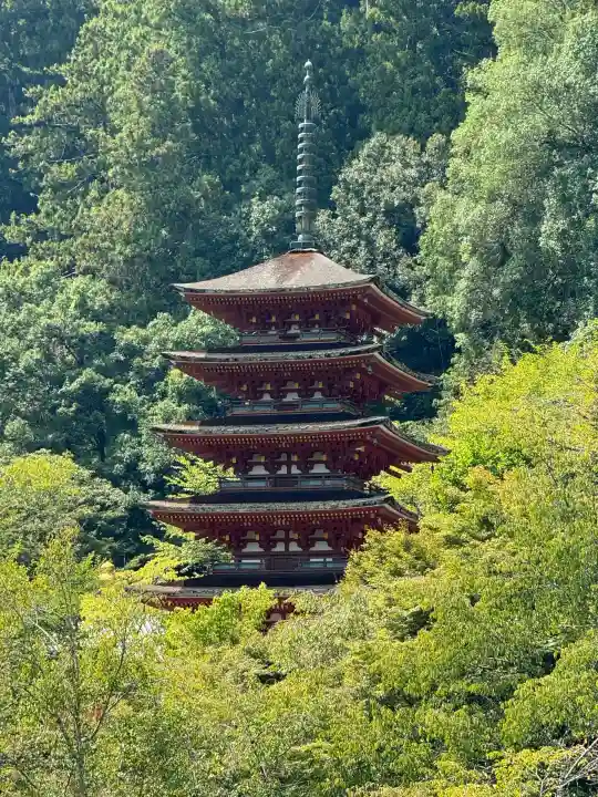 長谷寺の{uncategorized: "未分類", other: "その他", undefined: "問題あり", building: "その他建物", grave: "お墓", sacred_gate: "鳥居", guardian: "狛犬", statue: "像", buddha: "仏像", history: "歴史", nature: "自然", garden: "庭園", animal: "動物", pagoda: "塔", temizu: "手水舎", mountain_gate: "山門・神門", sanctuary: "本殿・本堂", subordinate: "末社・摂社", art: "芸術", scenery: "景色", jizo: "地蔵", ema: "絵馬", goshuin: "御朱印", omikuji: "おみくじ", items: "授与品その他", amulet: "お守り", goshuincho: "御朱印帳", eats: "食事", festival: "お祭り", votive_dance: "神楽", shichigosan: "七五三参", wedding: "結婚式", experience: "体験その他", initially: "初詣", around: "周辺", anti_infection: "感染症対策"}