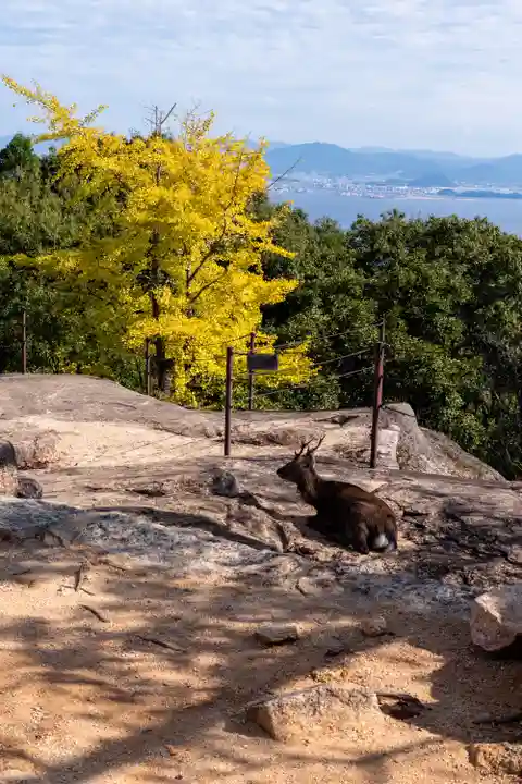 御山神社(厳島神社奧宮)(広島県)
