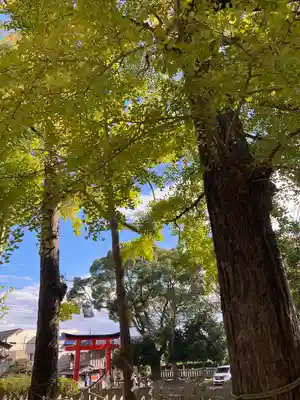 玉前神社(千葉県)