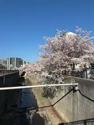 白菊稲荷大神(兵庫県)
