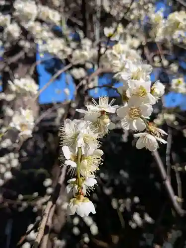 玄国寺(東京都)