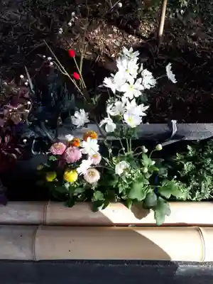 下野 星宮神社の手水舎