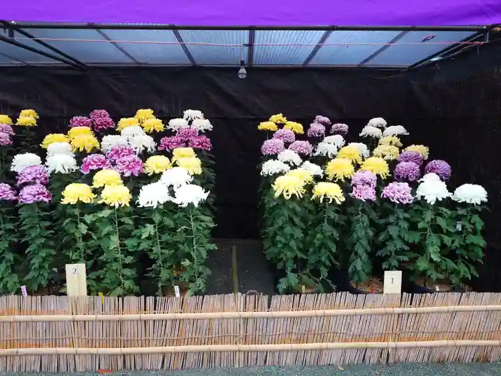 宗像大社(福岡県)