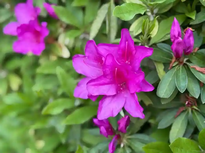 西方山極楽寺(岐阜県)