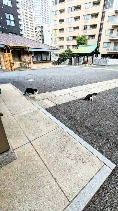 白金氷川神社の動物