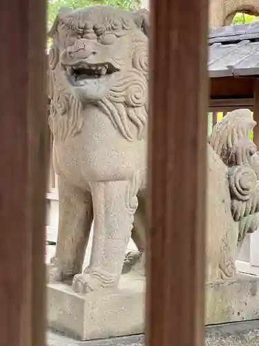 金井戸神社の狛犬