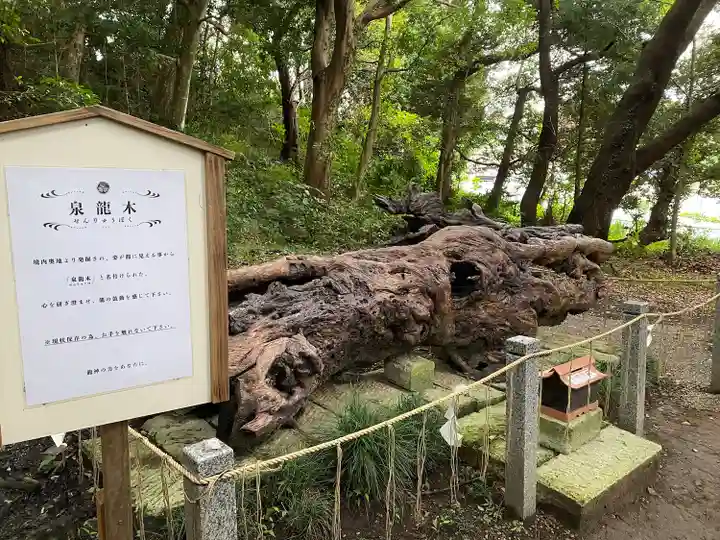 泉神社(茨城県)