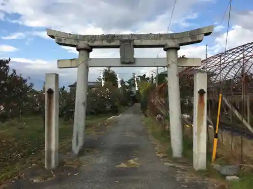 金桜神社の鳥居