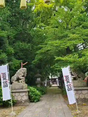 神炊館神社 ⁂奥州須賀川総鎮守⁂の狛犬