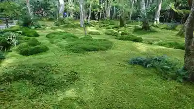 祇王寺(京都府)