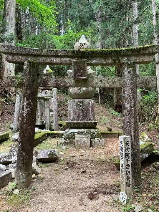 高野山金剛峯寺奥の院(和歌山県)