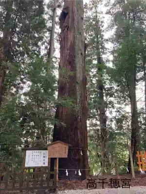 高千穂神社(宮崎県)