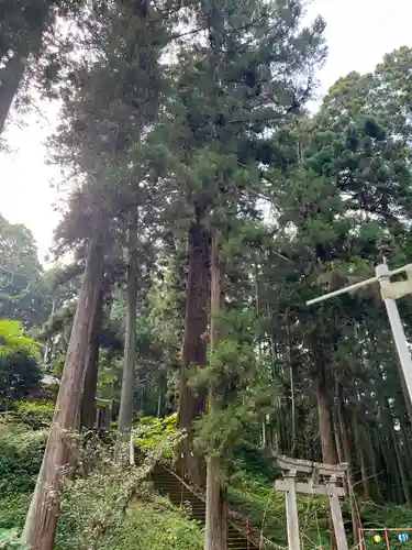 大宮温泉神社の鳥居