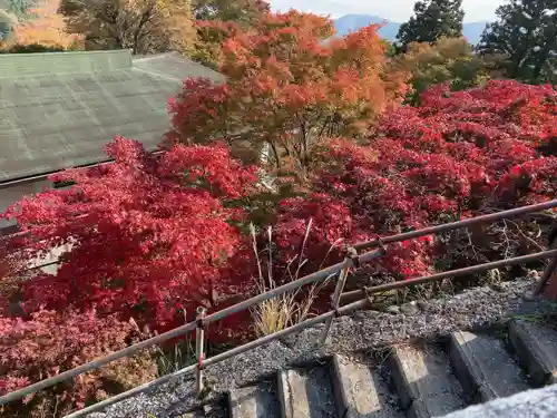大山阿夫利神社(神奈川県)