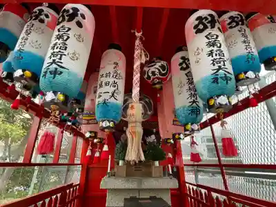 白菊稲荷大神(兵庫県)