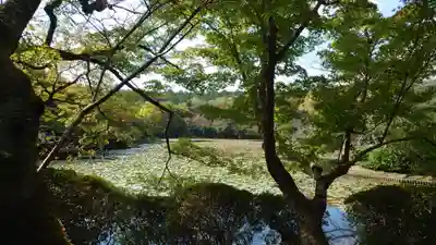 龍安寺(京都府)