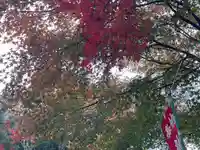 関善光寺(岐阜県)