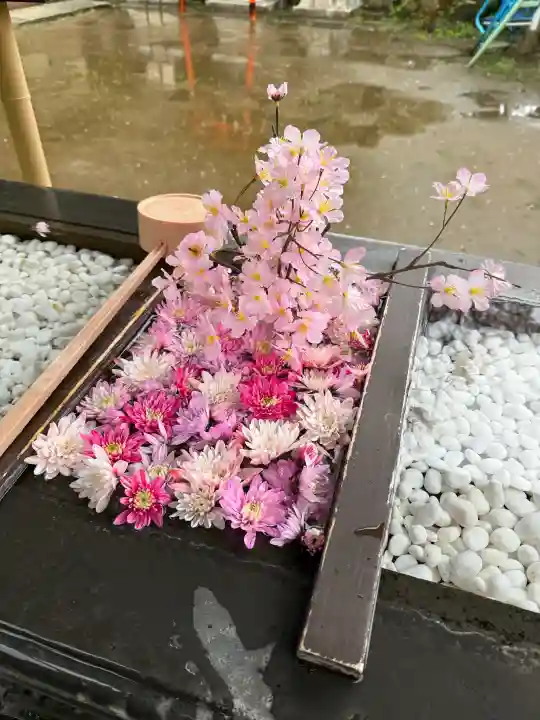 根岸八幡神社の{uncategorized: "未分類", other: "その他", undefined: "問題あり", building: "その他建物", grave: "お墓", sacred_gate: "鳥居", guardian: "狛犬", statue: "像", buddha: "仏像", history: "歴史", nature: "自然", garden: "庭園", animal: "動物", pagoda: "塔", temizu: "手水舎", mountain_gate: "山門・神門", sanctuary: "本殿・本堂", subordinate: "末社・摂社", art: "芸術", scenery: "景色", jizo: "地蔵", ema: "絵馬", goshuin: "御朱印", omikuji: "おみくじ", items: "授与品その他", amulet: "お守り", goshuincho: "御朱印帳", eats: "食事", festival: "お祭り", votive_dance: "神楽", shichigosan: "七五三参", wedding: "結婚式", experience: "体験その他", initially: "初詣", around: "周辺", anti_infection: "感染症対策"}