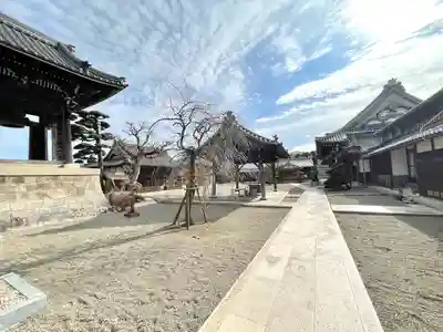 信楽院(滋賀県)