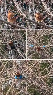 瀧澤龍神(北海道)