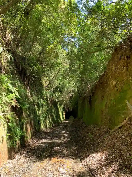 熊野神社の自然