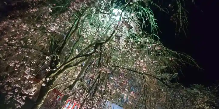 平野神社(京都府)