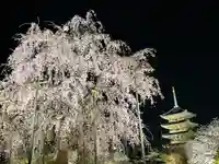 東寺(教王護国寺)(京都府)
