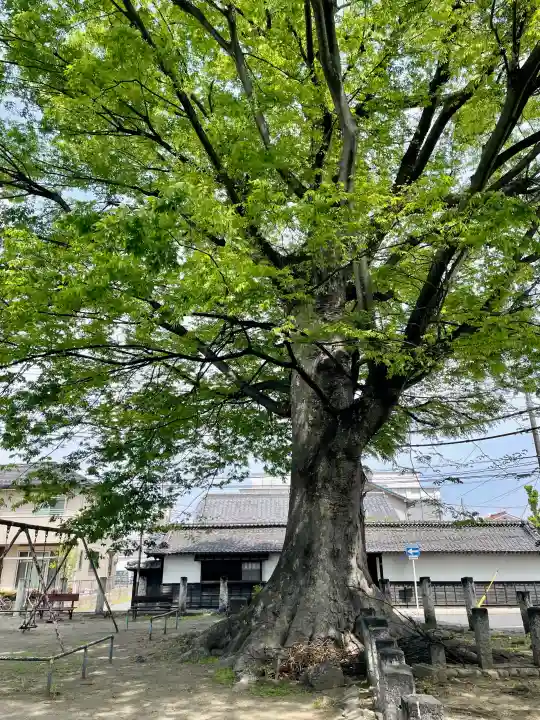 千形神社の{uncategorized: "未分類", other: "その他", undefined: "問題あり", building: "その他建物", grave: "お墓", sacred_gate: "鳥居", guardian: "狛犬", statue: "像", buddha: "仏像", history: "歴史", nature: "自然", garden: "庭園", animal: "動物", pagoda: "塔", temizu: "手水舎", mountain_gate: "山門・神門", sanctuary: "本殿・本堂", subordinate: "末社・摂社", art: "芸術", scenery: "景色", jizo: "地蔵", ema: "絵馬", goshuin: "御朱印", omikuji: "おみくじ", items: "授与品その他", amulet: "お守り", goshuincho: "御朱印帳", eats: "食事", festival: "お祭り", votive_dance: "神楽", shichigosan: "七五三参", wedding: "結婚式", experience: "体験その他", initially: "初詣", around: "周辺", anti_infection: "感染症対策"}